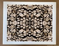 First photograph showing symmetrical black and white pebble fractal print with white border on a brown background.