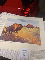 Photo of an unframed art print titled 'Buffalo on the Assiniboine Plains' by Clarence Tillenius showing buffalo in a natural landscape with explanatory text below.
