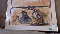 Framed art print featuring birds of prey including an owl and hawks. Signed by artist and behind glass.