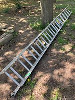 Photo of a long aluminum extension ladder resting on the ground outdoors near a tree.