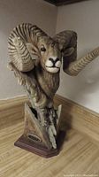 Full view of the bighorn sheep bust sculpture on display surface.