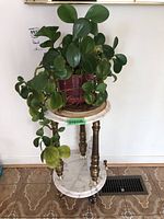 Full view of two-tiered marble and metal plant stand with live green leafy plant on top