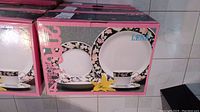 Box of Regent China Lena B 20-piece fine china dinner set showing the pattern and items included.
