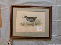 Framed hand-colored lithograph featuring a wetland bird with signature by John Gould.