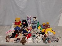 Wide view of all 40 plush toys arranged on floor including character and Beanie Baby plushes.