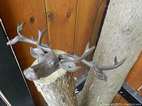 Front view of cast iron deer head wall mounts showing antlers and muzzle details, with wood background.