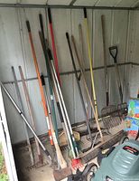 Overview of the yard tools including rakes, pitchforks, axe, and pushbroom leaning against shed wall.