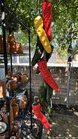 Full view of the vertical garden hanging showing multiple ceramic chili peppers in red, green, and yellow colors hanging by a rope among gardening pots.