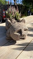 Side view of cat-shaped concrete composite planter with succulent plant inside, showing the face and raised ears of the cat.