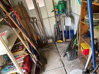 Wide view inside garden shed showing various garden hand tools including shovels, rakes, hoes leaning against shed wall, and shelving with various supplies.