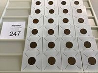 Photo showing 25 Canadian 1 cent coins held in individual cardboard holders, arranged in a grid on a white tray.