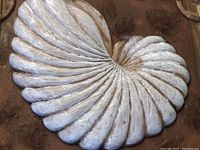 Close-up of 3D ceramic sculpture detail showing texture and form of white shell relief