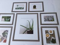 Display of all seven gray gallery frames arranged on a wall with white mats featuring cactus and coffee-themed pictures inside.