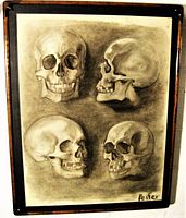 Framed charcoal drawing showing four detailed skulls from various angles with signature on bottom right. Wooden frame around paper drawing. Well-lit image showing entire piece.