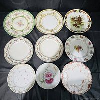 View of all nine decorated plates showing varied floral and scenic designs with different border styles and colors.