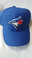 Blue Jays baseball cap front logo visible showing red maple leaf and blue jay head.