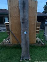 First image showing one full live edge plank standing vertically against wood panel, highlighting length and weathered condition