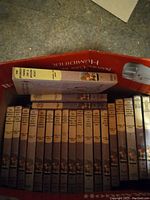 Photo showing a collection of 16 hardcover Bobbsey Twins books with matching spines and two Hardy Boys books on top.