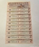Ten uncirculated 1986 Canadian $2 bills in sequential order from serial number CBI 5725030 to CBI 5725039 showing their backs with the American Robins illustration.