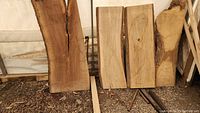 Four slabs leaning against tent wall: one dark walnut left, two lighter maple center, one pale ash right
