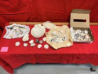 Full view of sea shells grouped on red fabric with some in a box and others wrapped in paper, ruler included for scale.