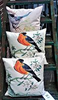 Three cushions stacked on outdoor steps showing bird illustrations: two with orange and black birds, one with a white and blue bird.