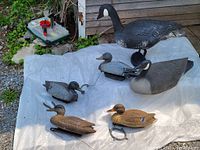 Six plastic decoys lying on a white tarp outdoors including 2 geese and 4 ducks with attached anchor ropes and molded feather texture.