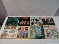 All 8 vinyl LP albums laid out on a white surface showing front covers, including Beach Boys and Jan & Dean titles.