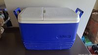 Closed view of large blue and white Igloo cooler with side handles and visible logo on front
