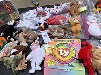 Wide view of the assorted plush Beanie Babies with the official membership kit folder and poster sheet in the center.