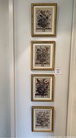 Full view of all four framed botanical prints with gold frames hanging vertically on a wall