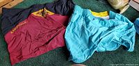 Both pairs of swim trunks laid out on a green carpet, showing light blue and burgundy colors with black waistband and yellow drawstring.
