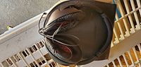 Bose headphones folded and placed inside the open carrying case, showing padded ear cushions and cable.