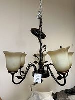 Full view of the five-light chandelier hanging, showing the five cream-colored, tulip-shaped frosted glass shades and dark metal frame with leaf accents.