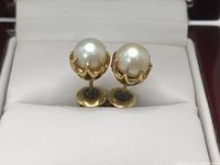 Pair of earrings displayed in white leatherette box interior