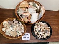 Overview of three baskets filled with assorted sea shells showing different varieties and sizes