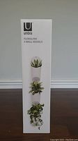 Front of the box showing Umbra branding and image of the three Floralink wall vessels with plants.