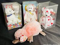 Three Ty Beanie Babies: Color Me Birthday Bear with paint splatters and blue ribbon, Chinook white dog with yellow collar, and Wilma platypus lying in front with glittery beak and feet.