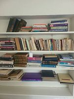 Bookshelves filled with assorted hardcover and softcover books in various sizes and colors, including thick volumes and smaller paperbacks