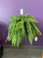 Full view of the artificial fern plant on the gold painted metal stand against a purple wall background.