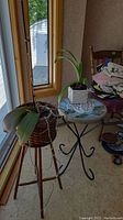 Two orchids placed near a window, one in a wicker basket on a tall wooden tripod stand, the other in a square pot on a shorter black metal stand.