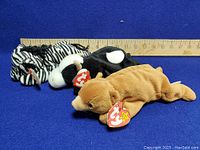 Three Ty Beanie Babies plush toys: zebra (Ziggy), cow (Cubbie), and dog (Daisy) arranged in front of a ruler for size reference