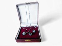 Jewelry set displayed in an open hinged jewelry box with red velvet interior, showing pendant necklace and pair of earrings