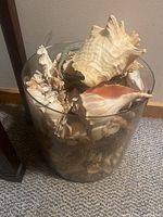 Photo of a clear round glass jar filled with assorted sea shells of various sizes and colors including large conch shells.