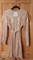 Full view of dress front showing long sleeves, scoop neck, sequins, and matching belt on hanger.