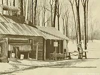 Close-up image showing part of the sugar bush wooden cabin with snow and bare trees in the background, capturing detail in the print.
