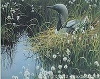 Close-up view of the framed print showing the loon by the pond surrounded by grass and white flowers.