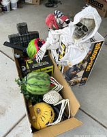 Photo of assorted Halloween skeleton figures, pumpkins, and green watermelon prop inside cardboard box and standing outside box.