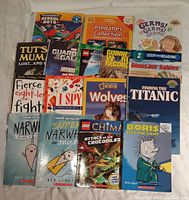 Photo showing the full lot of early reader books arranged flat on a surface, various titles and characters visible.