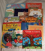 Top view showing all 14 childrens books, mostly board books and picture books for young children of various titles and subjects.